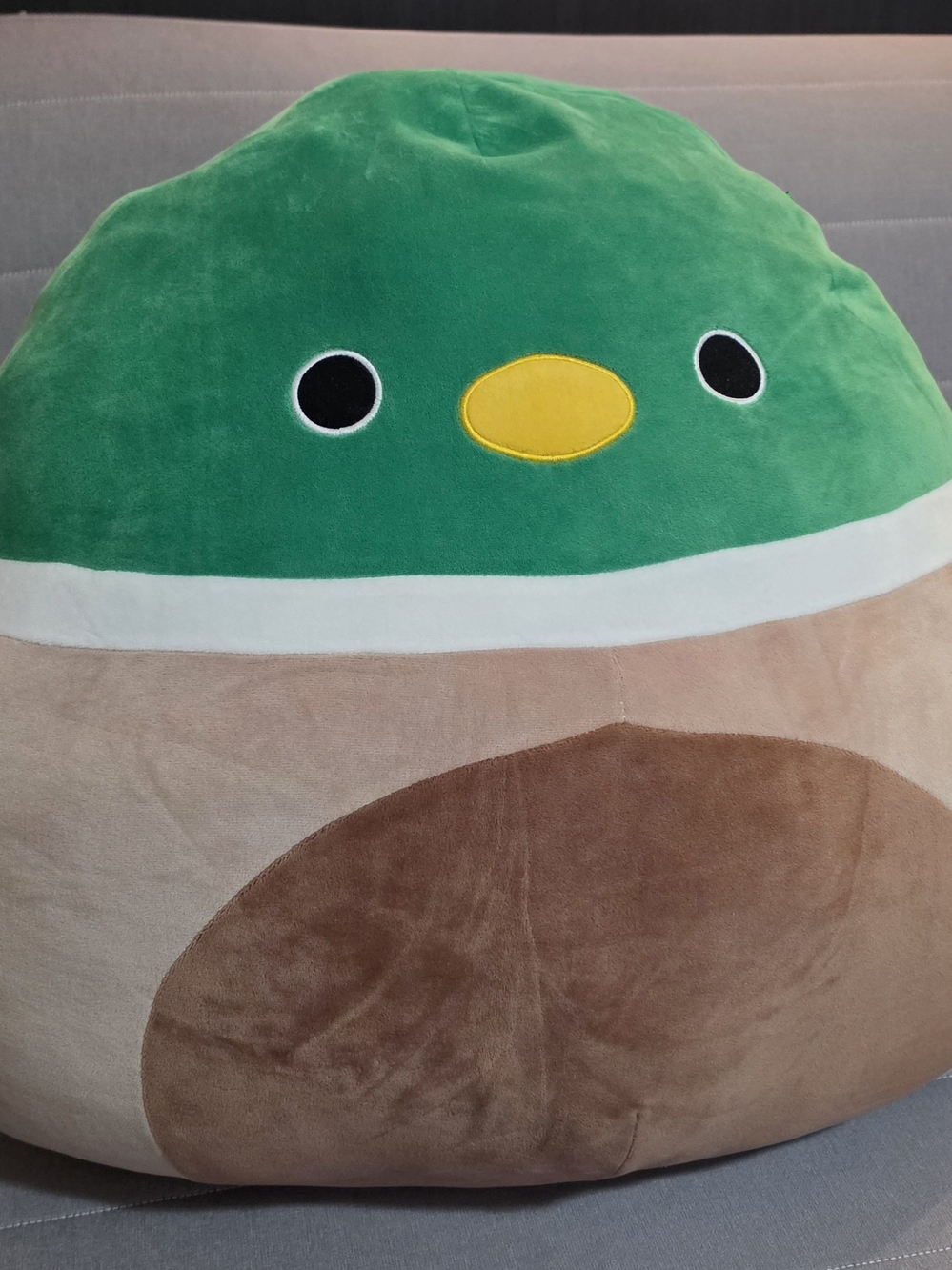 Avery Squishmallow